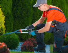 How to Create a Garden Maintenance