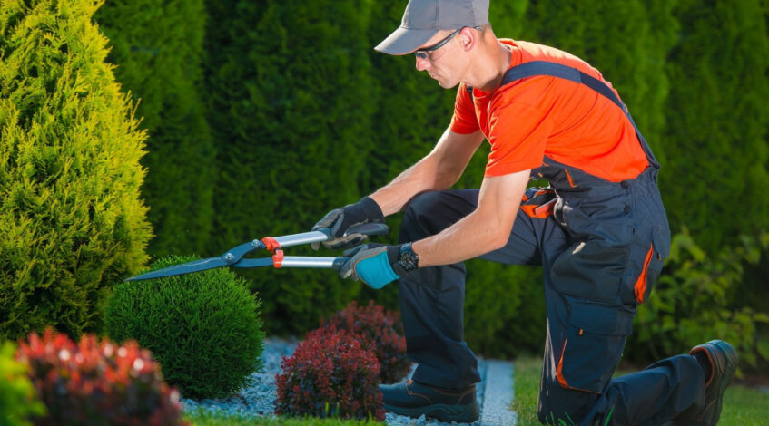 How to Create a Garden Maintenance