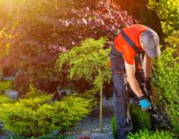 How to Create a Landscaping Contractors