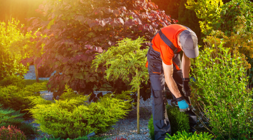 How to Create a Landscaping Contractors