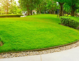 How to Create a Lawn Care