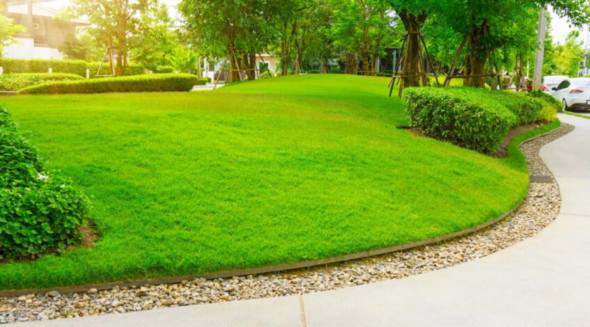 How to Create a Lawn Care