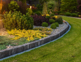 How to Create a Xeriscaping Design